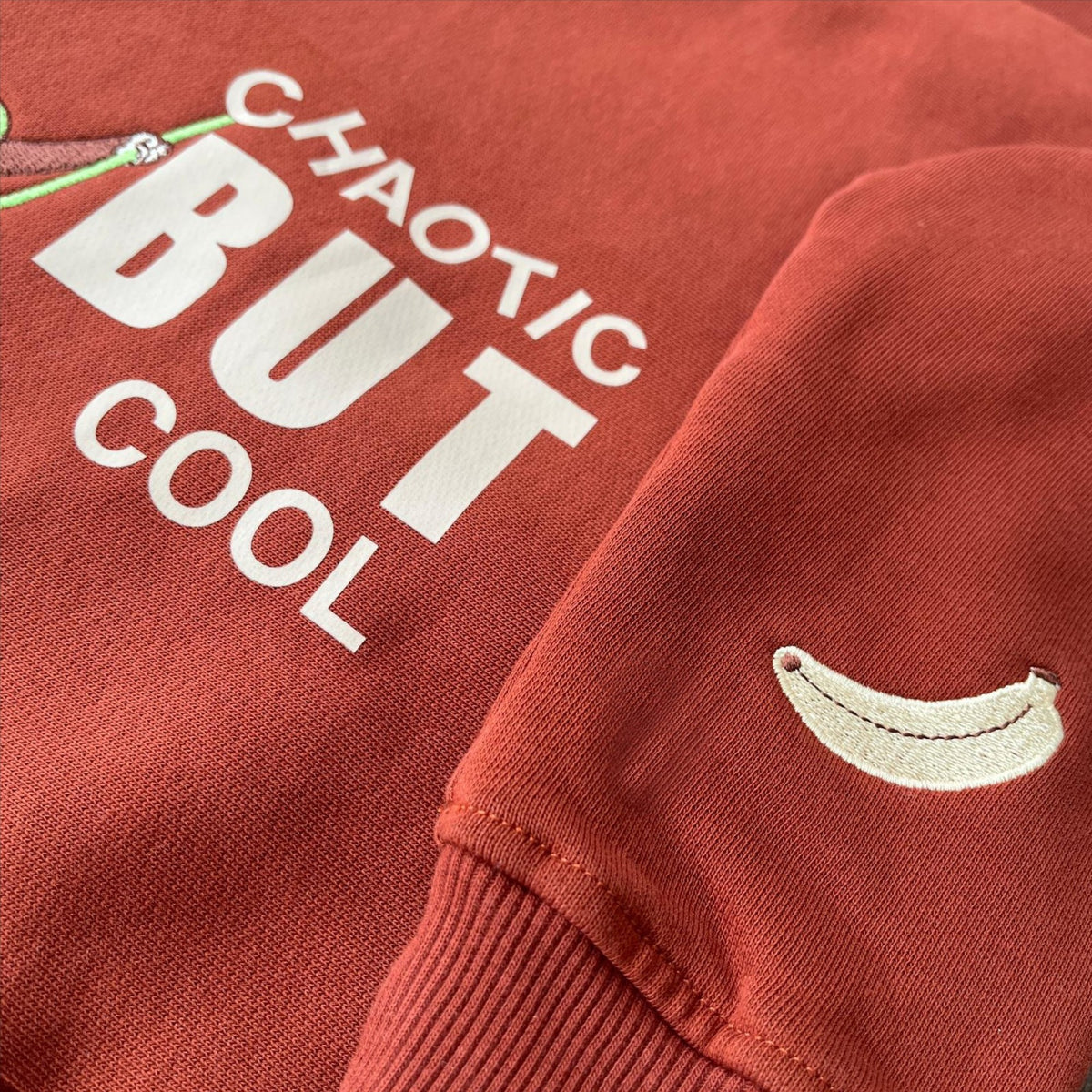 Sweatshirt Monkey "Charlie"